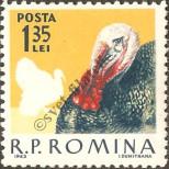 Stamp Romania Catalog number: 2151