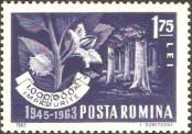 Stamp Romania Catalog number: 2213