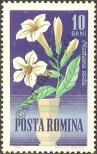 Stamp Romania Catalog number: 2268