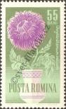 Stamp Romania Catalog number: 2271