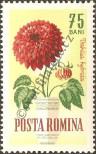 Stamp Romania Catalog number: 2272