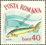 Stamp Romania Catalog number: 2283