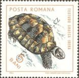 Stamp Romania Catalog number: 2377