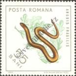 Stamp Romania Catalog number: 2381