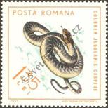 Stamp Romania Catalog number: 2385