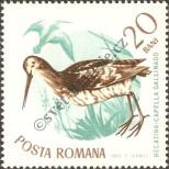 Stamp Romania Catalog number: 2432