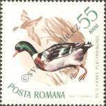 Stamp Romania Catalog number: 2434