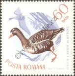 Stamp Romania Catalog number: 2435