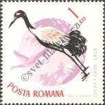Stamp Romania Catalog number: 2436