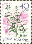 Stamp Romania Catalog number: 2528