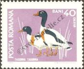 Stamp Romania Catalog number: 2726
