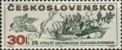 Stamp Czechoslovakia Catalog number: 1942