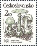 Stamp Czechoslovakia Catalog number: 3019