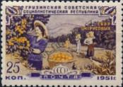 Stamp Soviet Union Catalog number: 1549