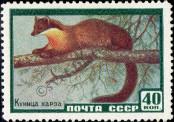 Stamp Soviet Union Catalog number: 2242