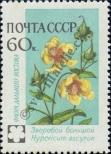 Stamp Soviet Union Catalog number: 2423/A