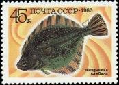 Stamp Soviet Union Catalog number: 5298