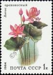 Stamp Soviet Union Catalog number: 5381