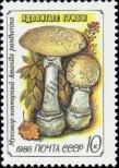 Stamp Soviet Union Catalog number: 5605