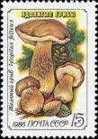 Stamp Soviet Union Catalog number: 5606