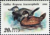 Stamp Soviet Union Catalog number: 6212