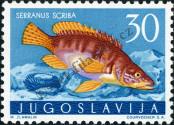 Stamp Yugoslavia Catalog number: 799