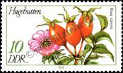 Stamp German Democratic Republic Catalog number: 2287