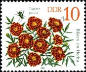 Stamp German Democratic Republic Catalog number: 2738