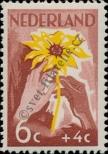 Stamp Netherlands Catalog number: 522