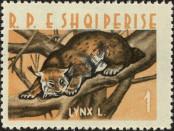 Stamp Albania Catalog number: 700