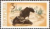Stamp Albania Catalog number: 923