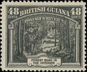Stamp Guyana Catalog number: 163/A
