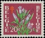 Stamp Belgium Catalog number: 876