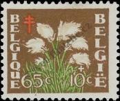 Stamp Belgium Catalog number: 877