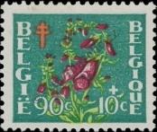 Stamp Belgium Catalog number: 878