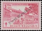 Stamp Belgium Catalog number: 880