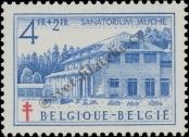 Stamp Belgium Catalog number: 881